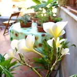 La Casa Di Marzapane Bed & Breakfast 2*