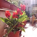 La Casa Di Marzapane Bed & Breakfast Palermo