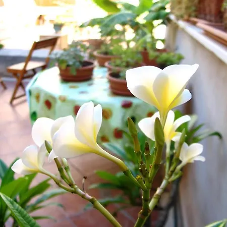 La Casa Di Marzapane Alojamento de Acomodação e Pequeno-almoço 2*