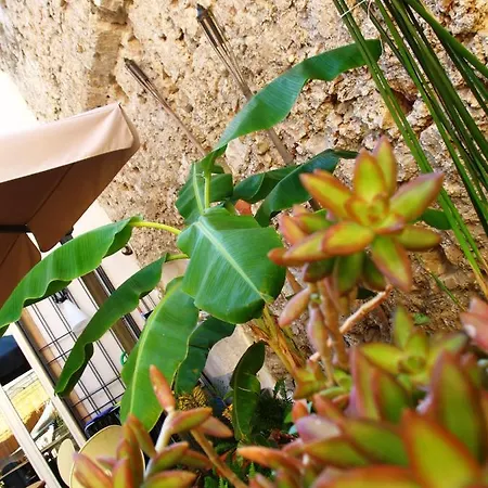 La Casa Di Marzapane Alojamento de Acomodação e Pequeno-almoço Palermo