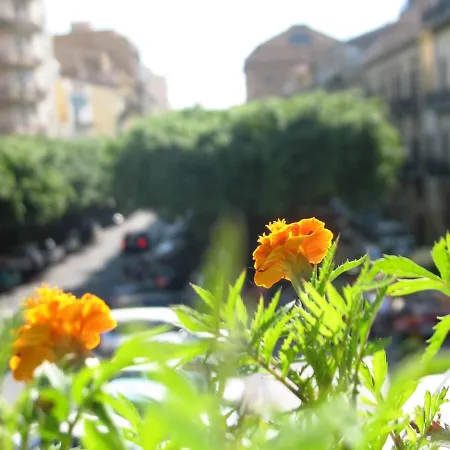 La Casa Di Marzapane 2* Palermo